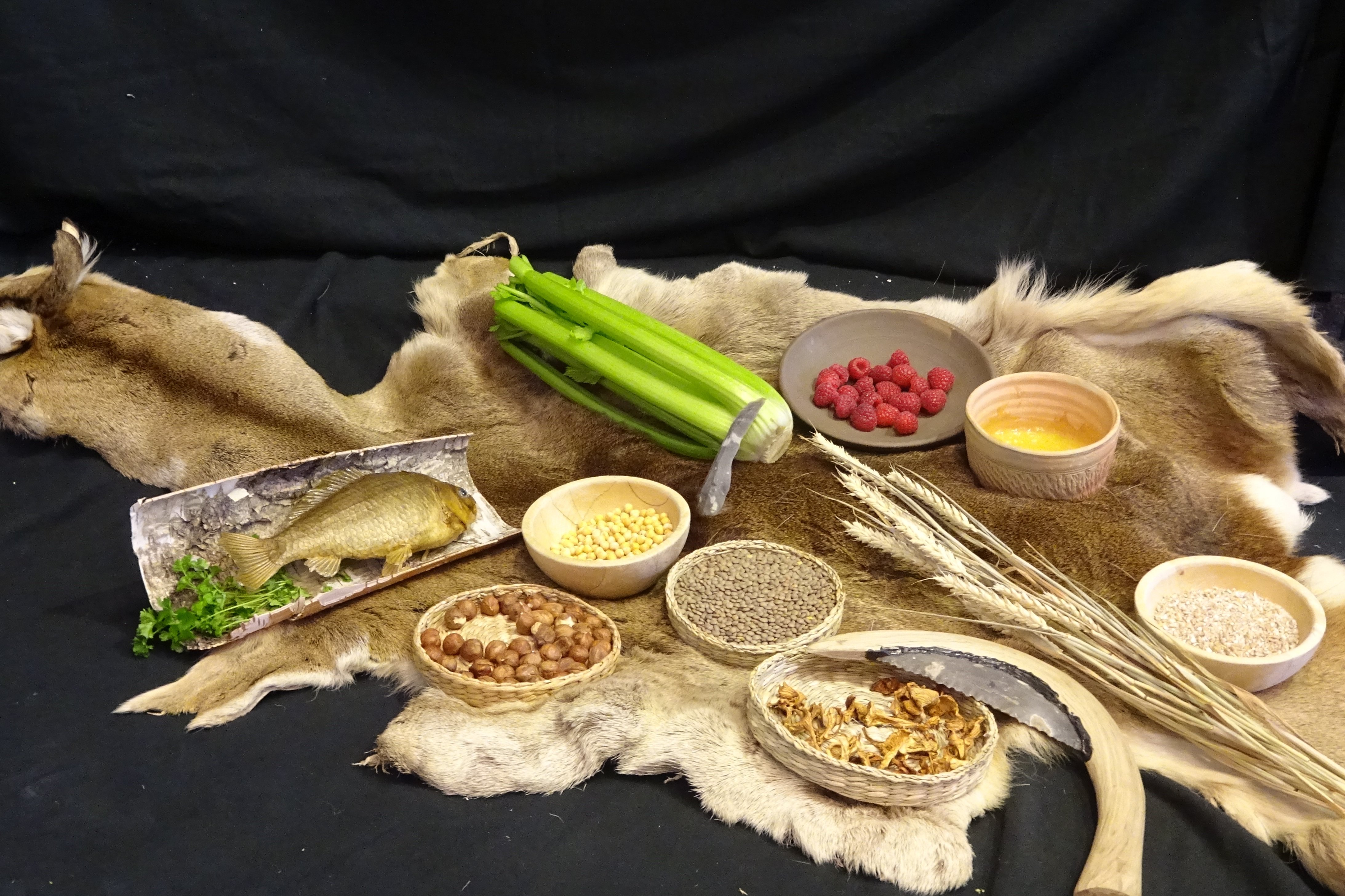Steinzeitliches Essen ausgebreitet auf Fell von einem toten Tier