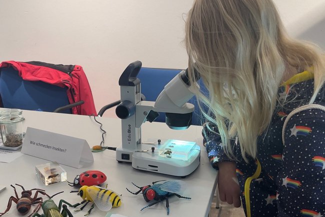 ein Kind untersucht Insekten unter einem Mikroskop