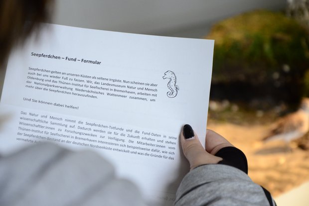 Blick auf das Formular zum Melden von Seepferdchen-Funden. Auf dem Formular ist eine Zeichnung eines Seepferdchens zu sehen und die Überschrift lautet "Seepferdchen-Fund-Formular". Der Zettel wird von jemandem in der Hand gehalten.
