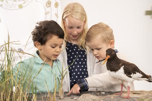 3 Kinder betrachten Vögel in der Dauerausstellung Küste und Marsch