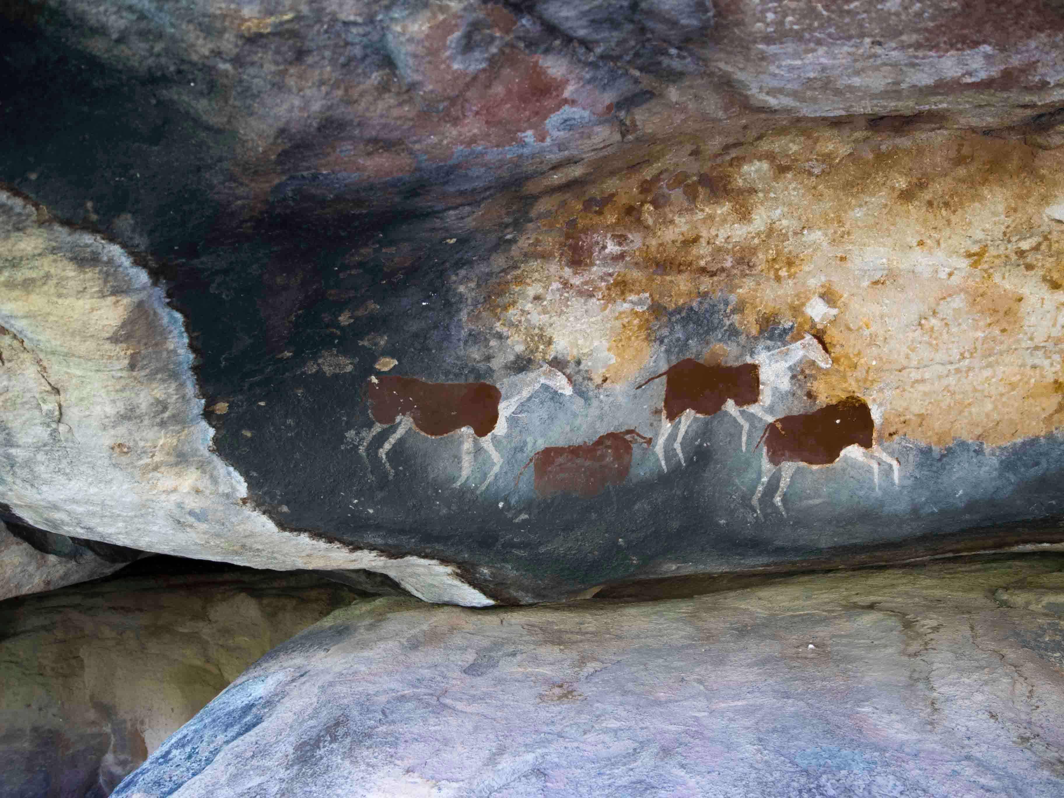 Ein Blick in eine Höhle, auf der auf einer Wand mehrere Tiere gemalt sind.