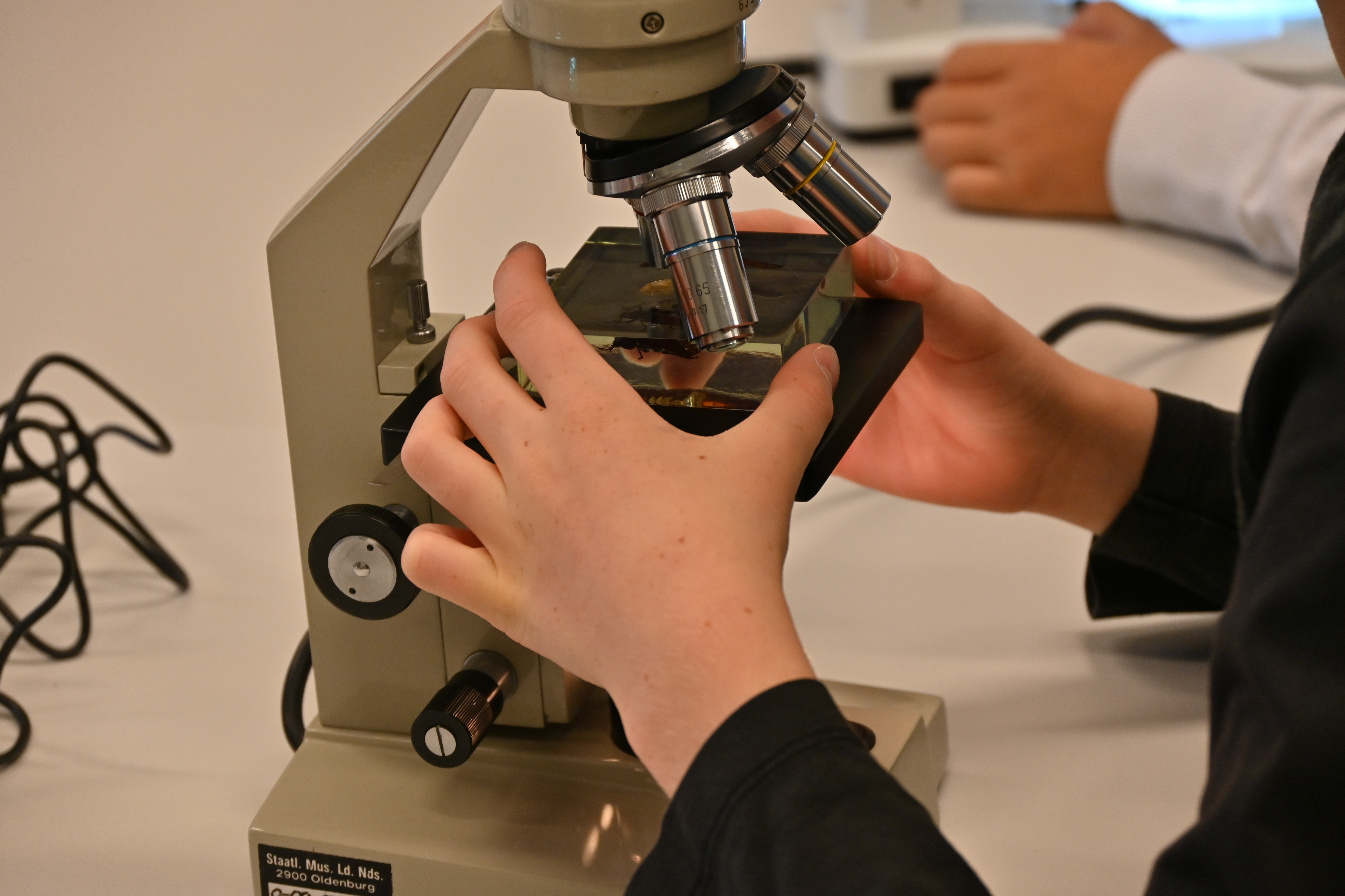 Ein Mikroskop mit dem ein Kind forscht